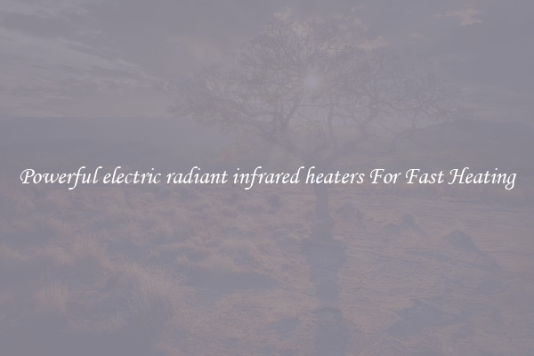 Powerful electric radiant infrared heaters For Fast Heating