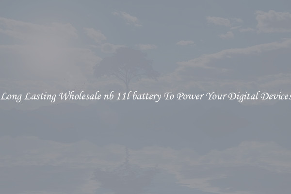 Long Lasting Wholesale nb 11l battery To Power Your Digital Devices