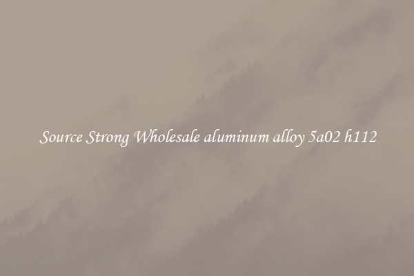 Source Strong Wholesale aluminum alloy 5a02 h112