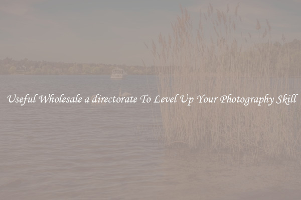 Useful Wholesale a directorate To Level Up Your Photography Skill