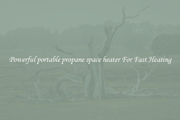 Powerful portable propane space heater For Fast Heating