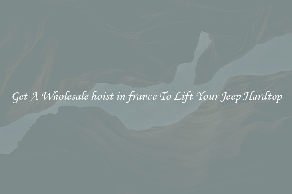 Get A Wholesale hoist in france To Lift Your Jeep Hardtop