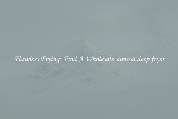 Flawless Frying: Find A Wholesale samosa deep fryer