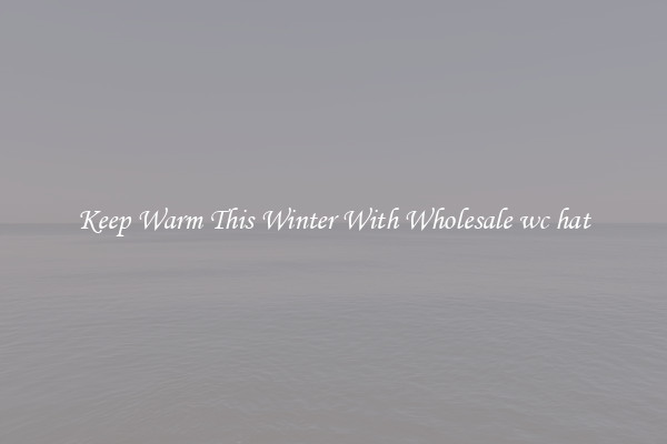 Keep Warm This Winter With Wholesale wc hat