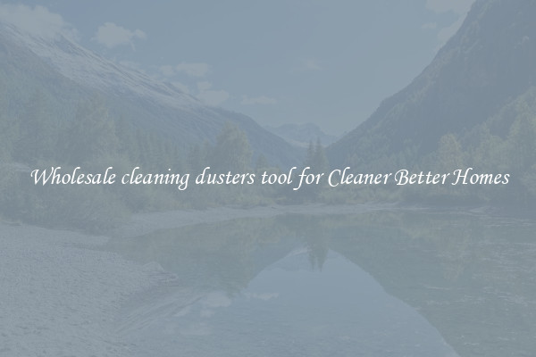 Wholesale cleaning dusters tool for Cleaner Better Homes