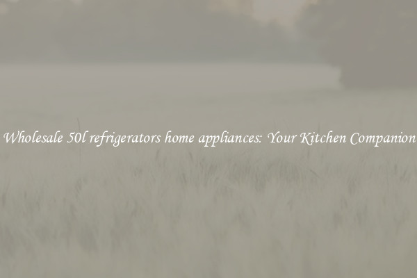 Wholesale 50l refrigerators home appliances: Your Kitchen Companion