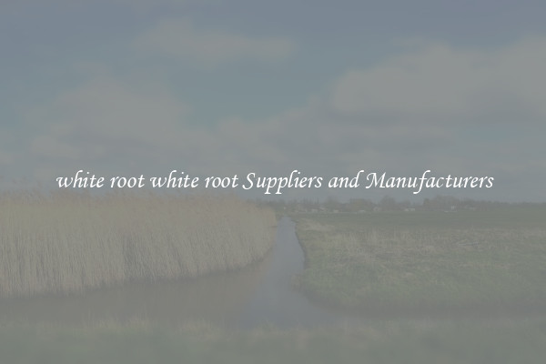white root white root Suppliers and Manufacturers