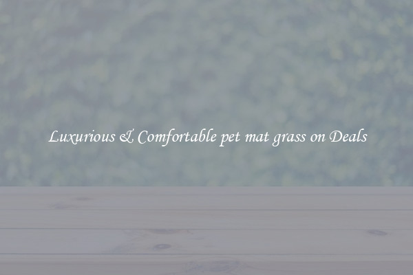Luxurious & Comfortable pet mat grass on Deals