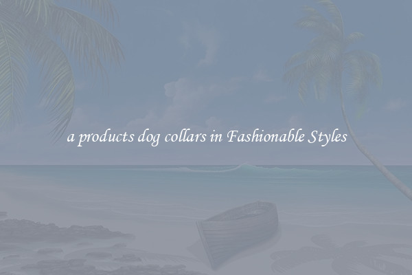 a products dog collars in Fashionable Styles