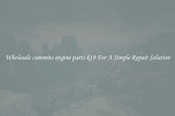 Wholesale cummins engine parts k19 For A Simple Repair Solution