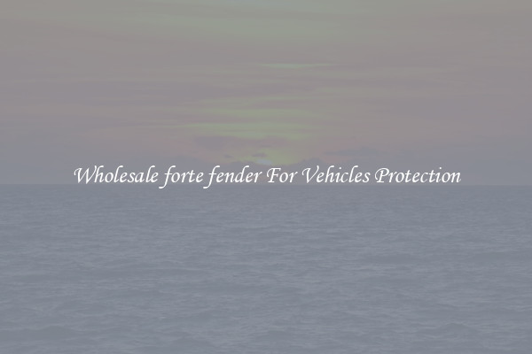 Wholesale forte fender For Vehicles Protection